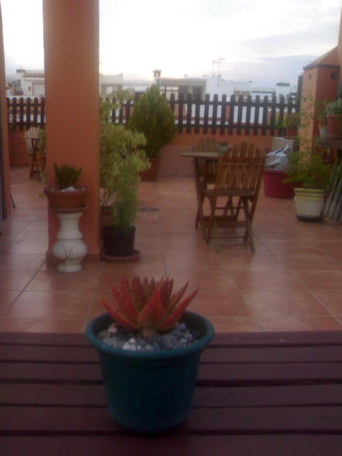 Hospederia V Centenario Estepona Luaran gambar